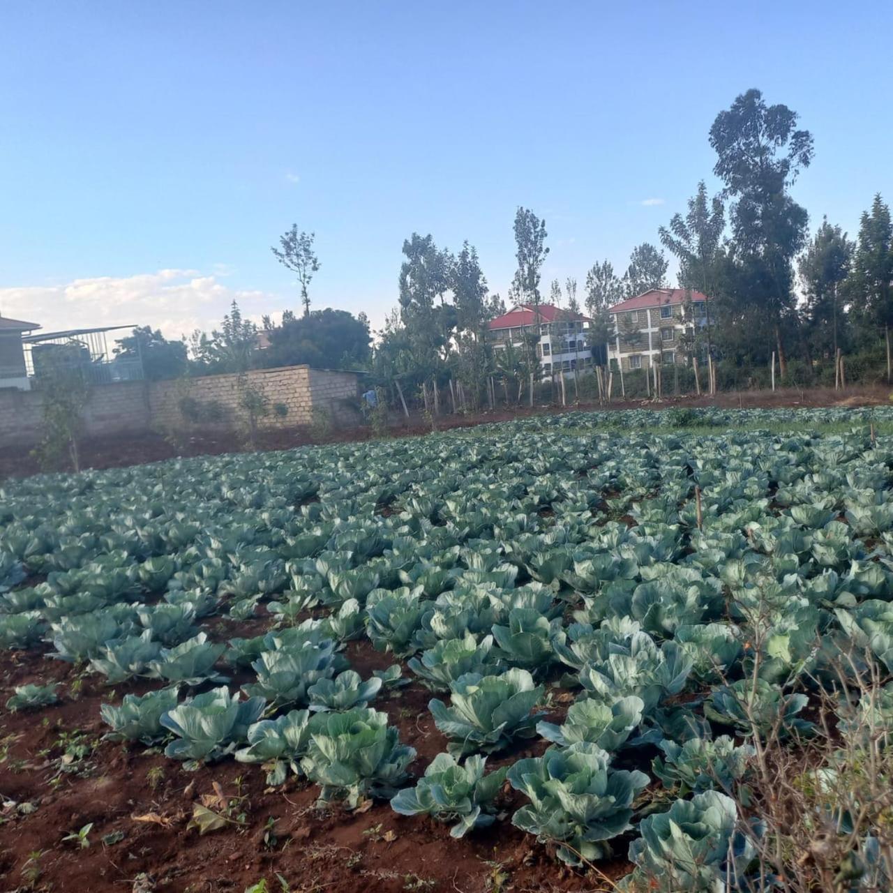 Gatimene Gardens Hotel Meru Exterior foto